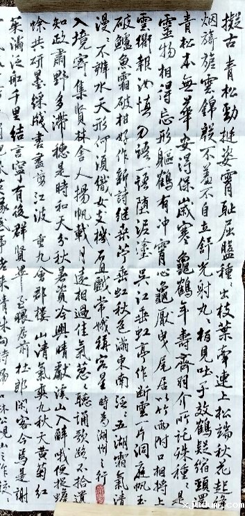 1656032956655841.jpg 1656032956655841.jpg